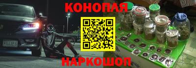 a pvp Дубна